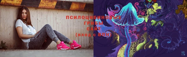 дмт Богородск