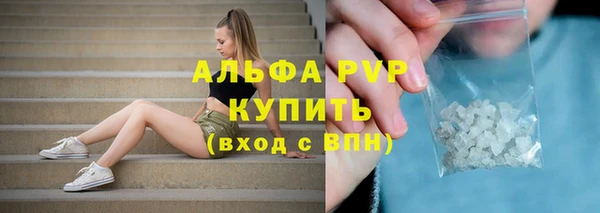 экстази Богданович