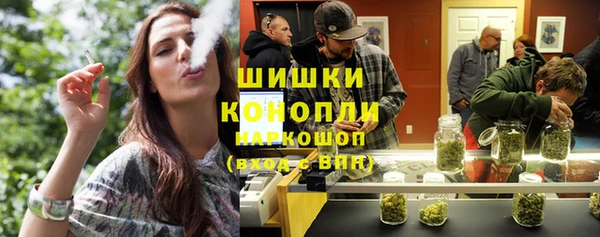 дмт Богородск