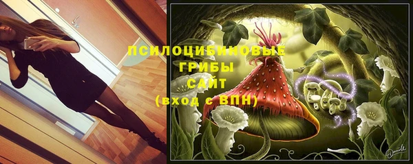 МДПВ Бронницы