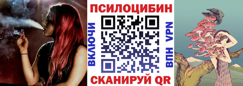 Псилоцибиновые грибы прущие грибы  Моздок 