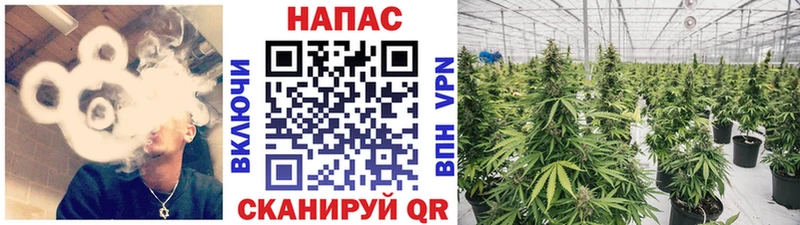 Шишки марихуана Ganja  hydra рабочий сайт  Моздок 